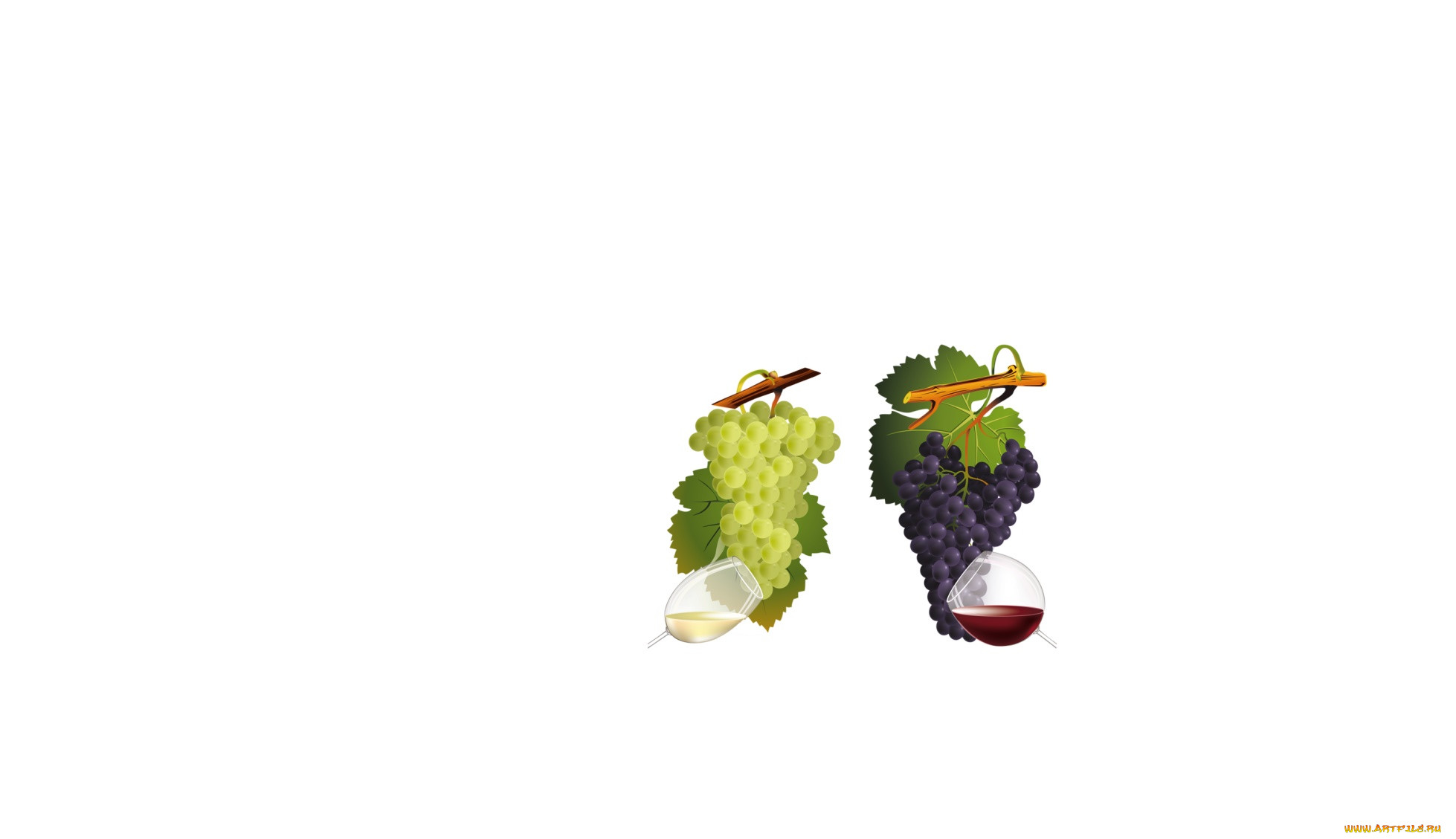  ,  , food, , 